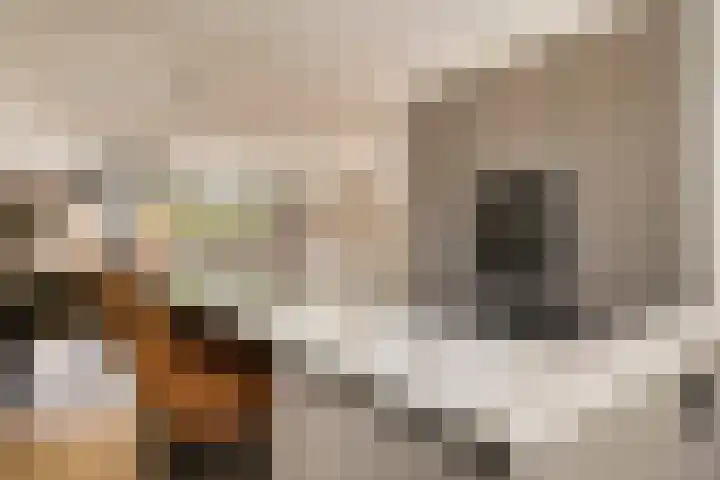 Frankenburgsingel 24 Hoofddorp thumbnail 10