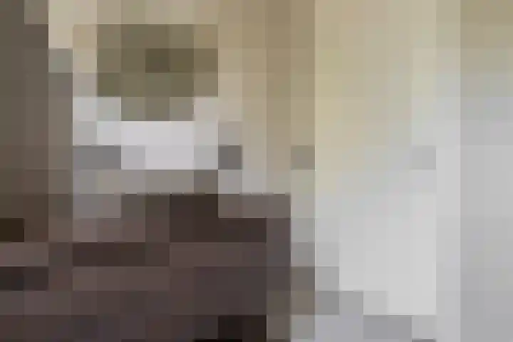 Frankenburgsingel 24 Hoofddorp thumbnail 21