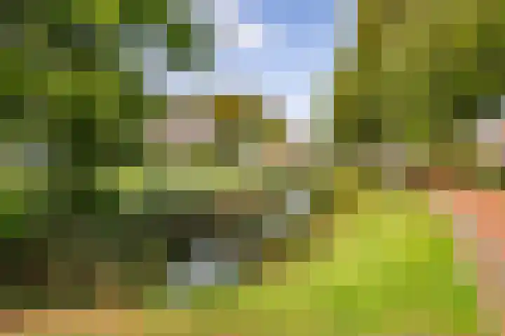 Frankenburgsingel 24 Hoofddorp thumbnail 36