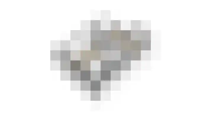 Frankenburgsingel 24 Hoofddorp thumbnail 42