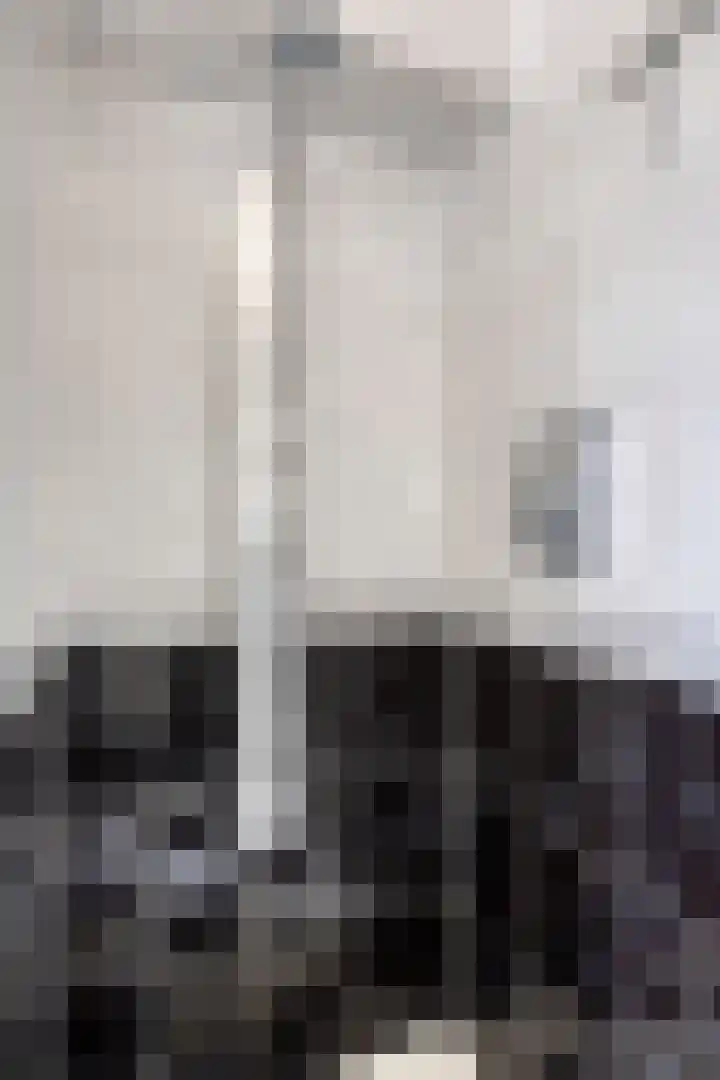 Frankendaal 22 Rotterdam thumbnail 17
