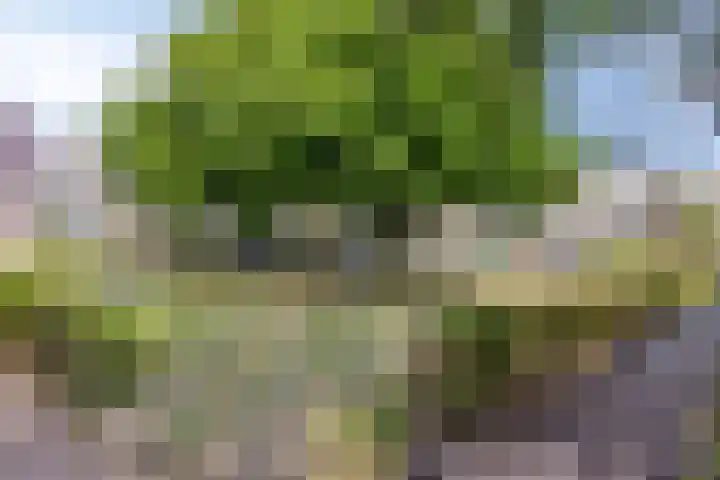 Frankendaal 22 Rotterdam thumbnail 31