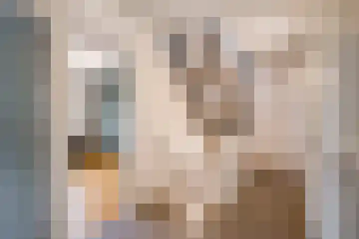 Frankenlaan 12 Sittard thumbnail 41
