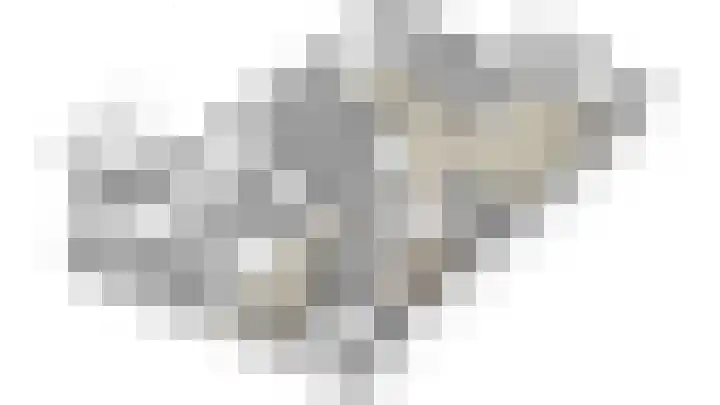 Frankenlaan 12 Sittard thumbnail 62
