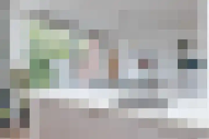 Frankenlaan 39 Tilburg thumbnail 19