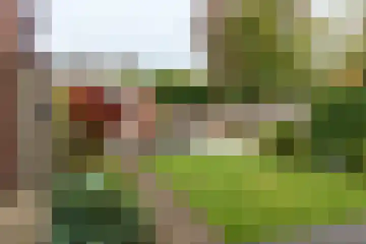 Frankenlaan 39 Tilburg thumbnail 46