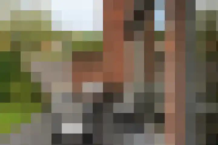 Frankenlaan 39 Tilburg thumbnail 51