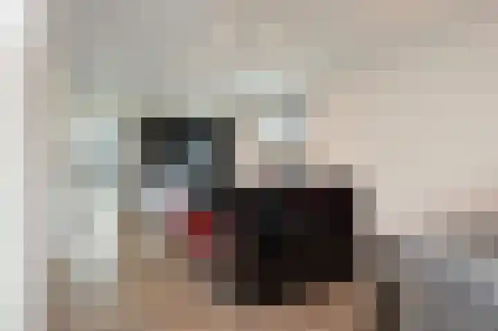 Frankenlaan 9 Sittard thumbnail 21