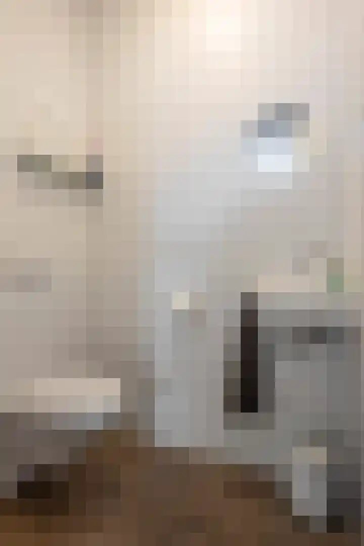 Frankenlaan 9 Sittard thumbnail 9
