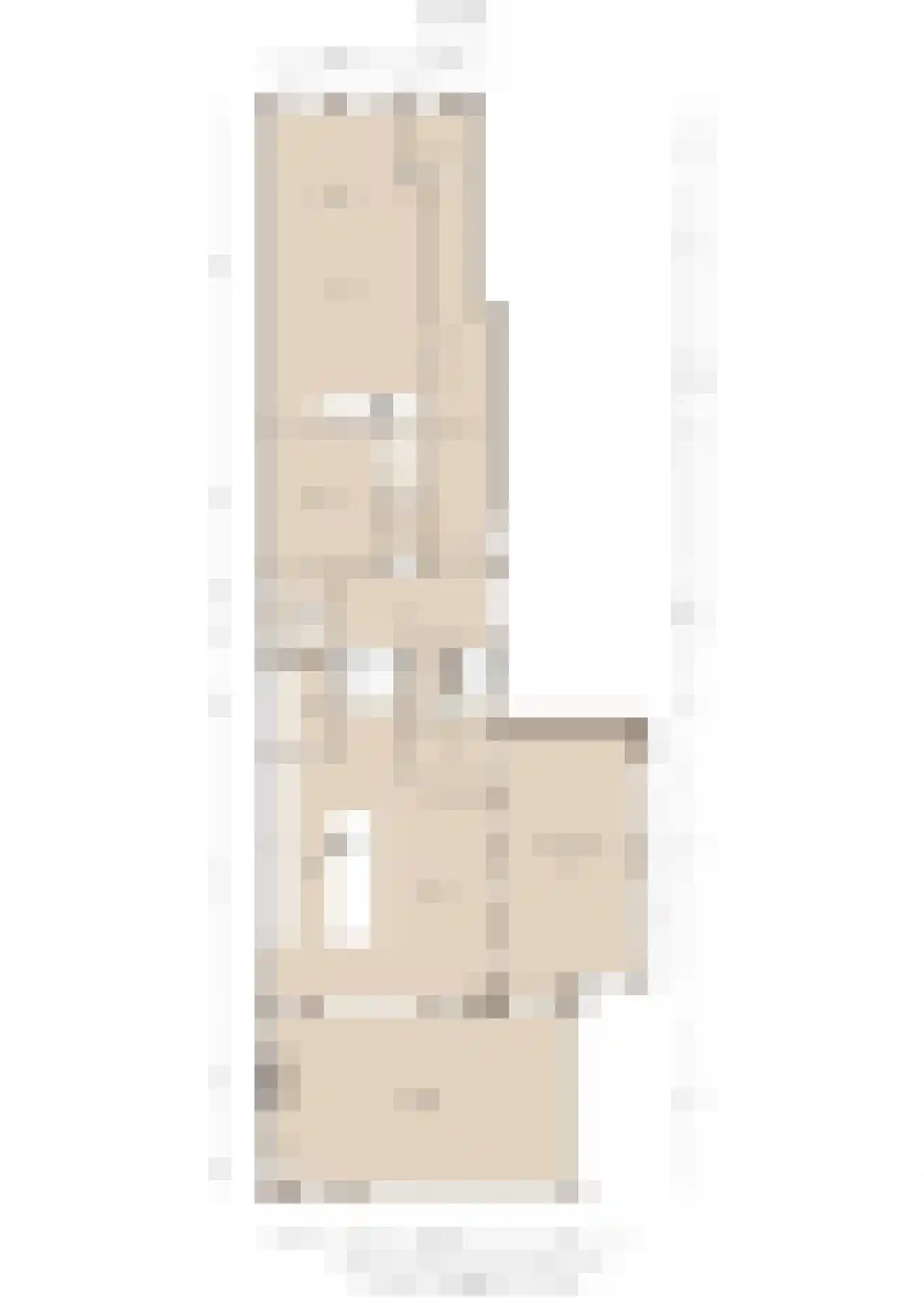 Frankenslag 357 Den Haag