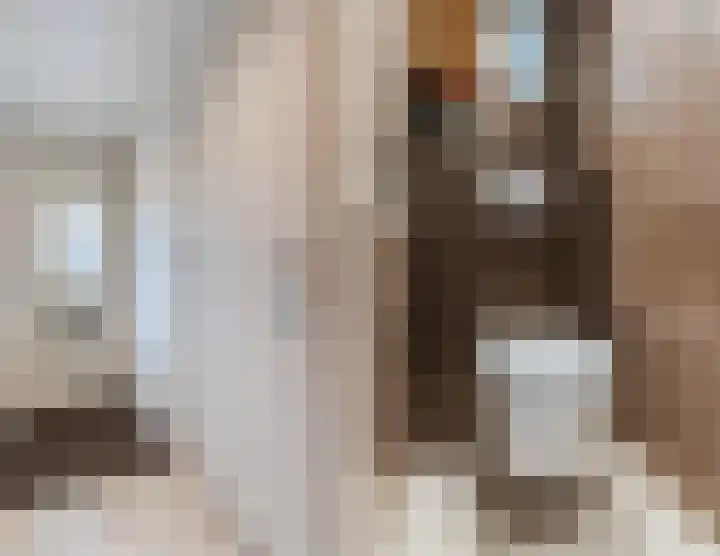 Frankenstraat 3 Eersel thumbnail 10