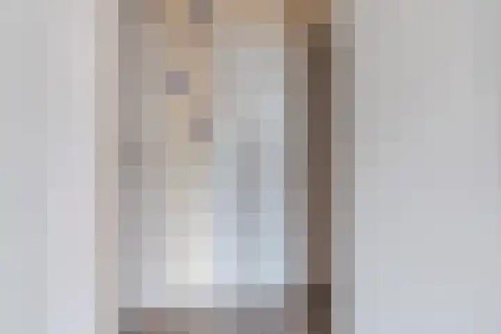Frankenstraat 3 Eersel thumbnail 21