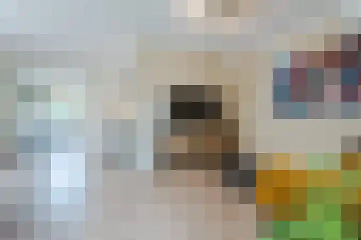 Frankenstraat 6 Heumen thumbnail 14
