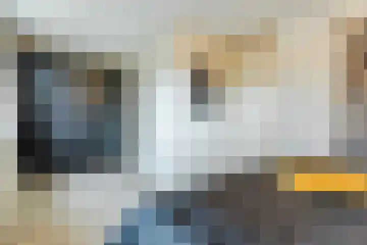 Frankenstraat 6 Heumen thumbnail 26