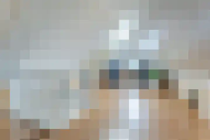 Frankenstraat 6 Heumen thumbnail 30