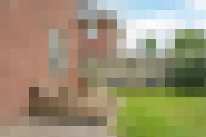 Frankenstraat 6 Heumen thumbnail 35
