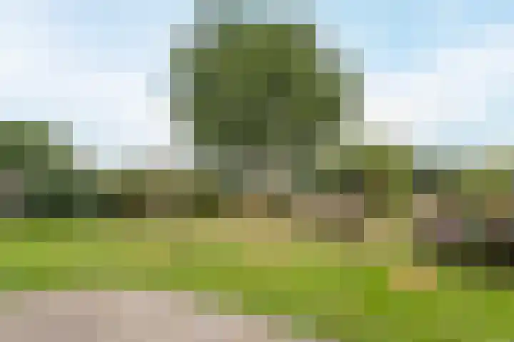Frankenstraat 6 Heumen thumbnail 37