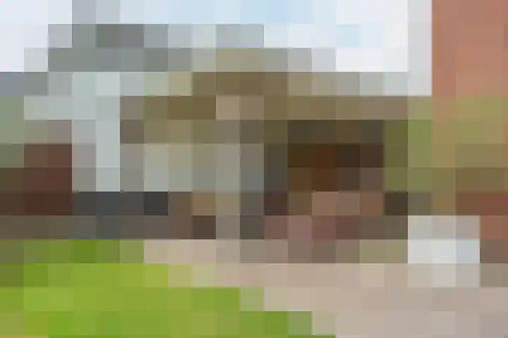 Frankenstraat 6 Heumen thumbnail 4