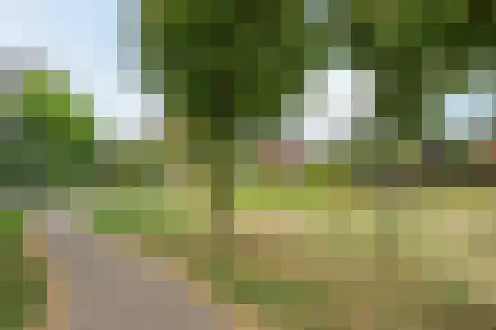 Frankenstraat 6 Heumen thumbnail 41