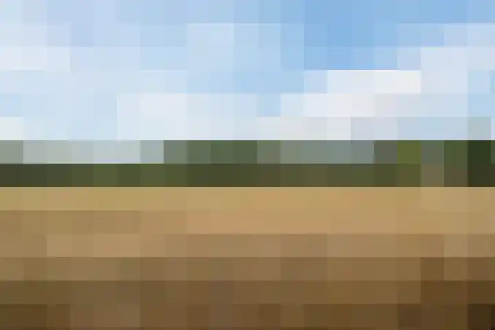 Frankenstraat 6 Heumen thumbnail 42