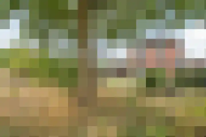 Frankenstraat 6 Heumen thumbnail 43