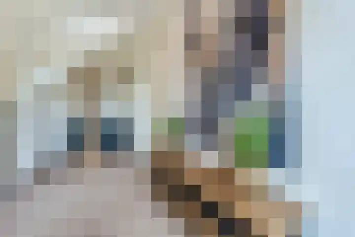 Frankenstraat 6 Heumen thumbnail 7
