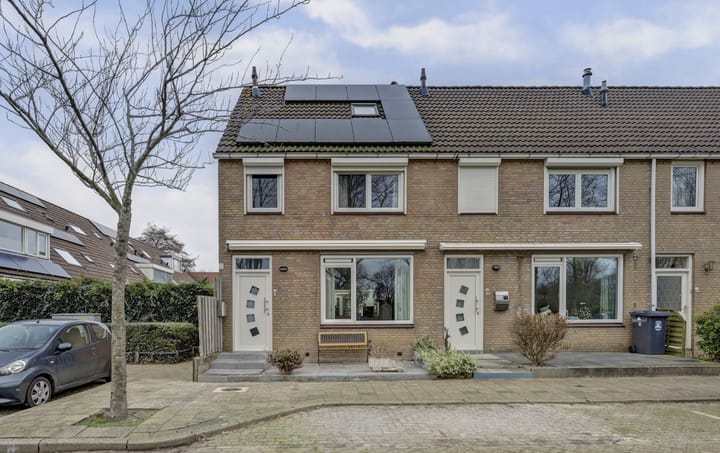 Frankenthaler 42 in De Lier foto