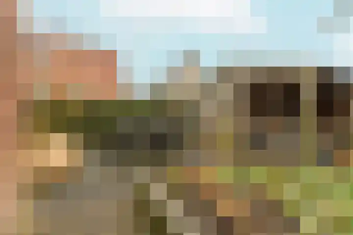 Frankenveld 53 Arnhem thumbnail 46
