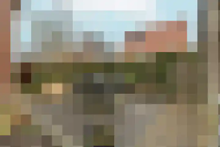 Frankenveld 53 Arnhem thumbnail 47