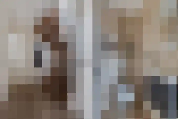 Franklinhage 3 Emmeloord thumbnail 7