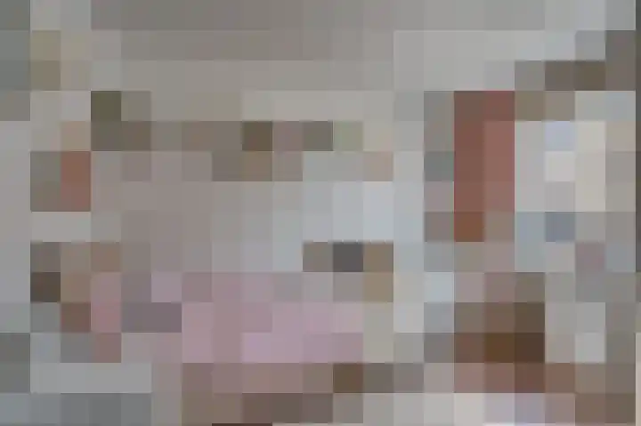 Frans Coehorststraat 20 Venlo thumbnail 20