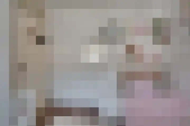 Frans Coehorststraat 20 Venlo thumbnail 22