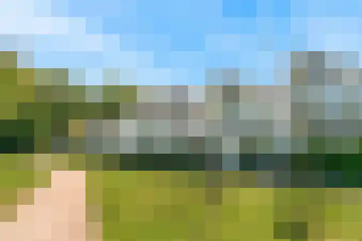 Frans de Bieslaan 63 Aalsmeer thumbnail 22
