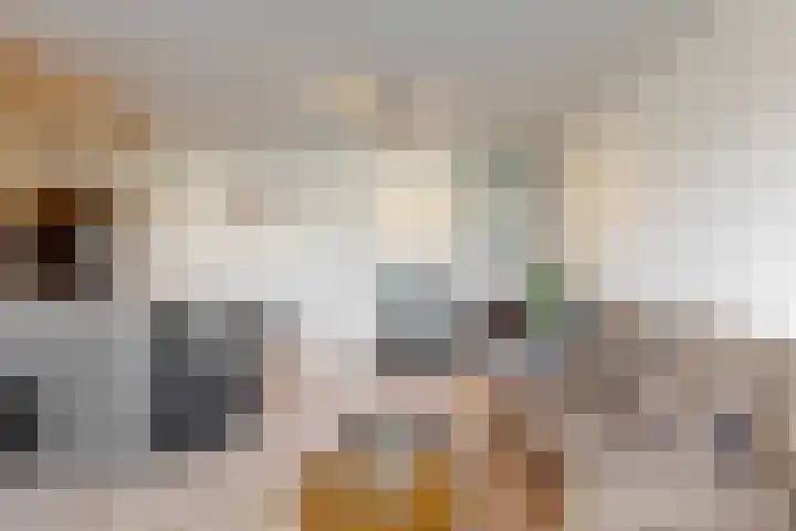 Frans de Bieslaan 63 Aalsmeer thumbnail 4