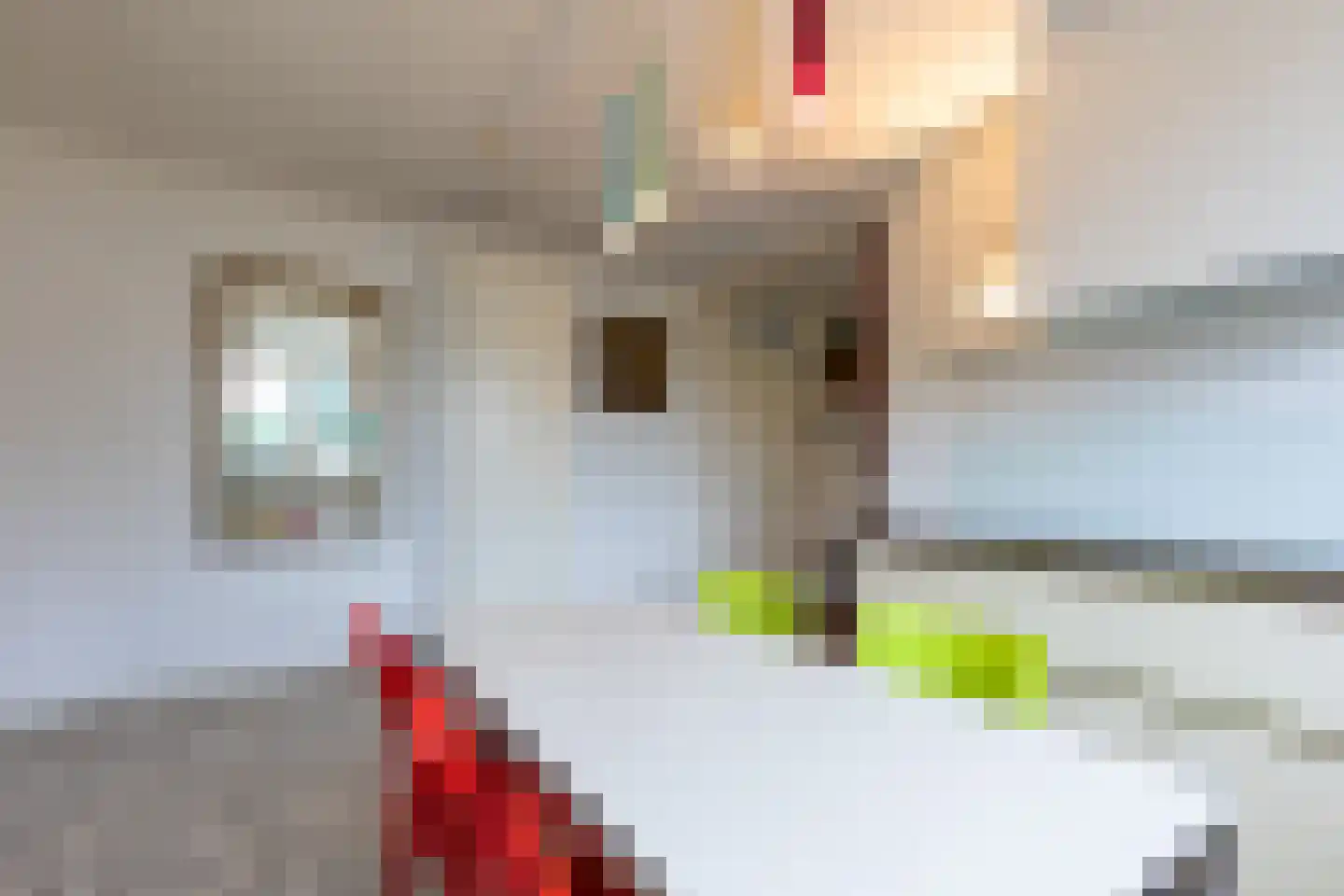 Frans Erenslaan 32 Landgraaf thumbnail 12