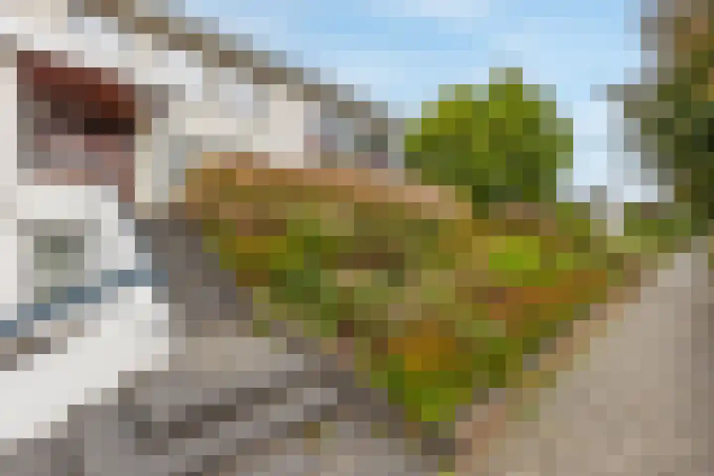 Frans Erenslaan 32 Landgraaf thumbnail 36