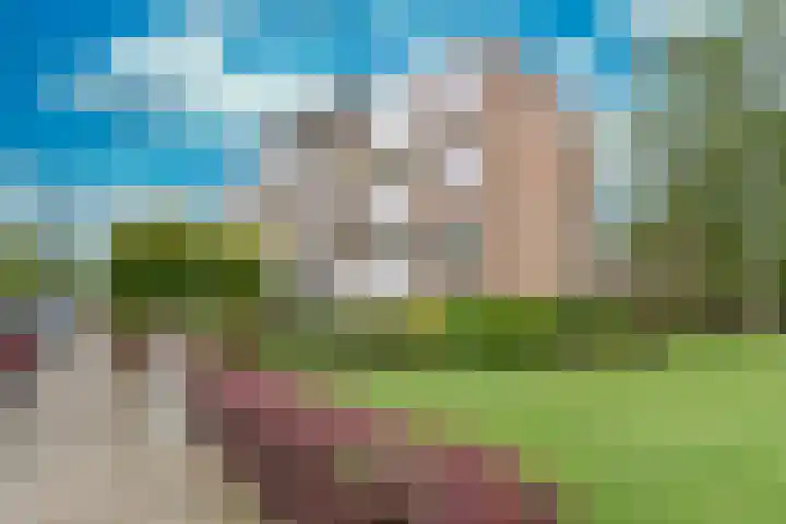 Frans Erensstraat 11 Beek thumbnail 25