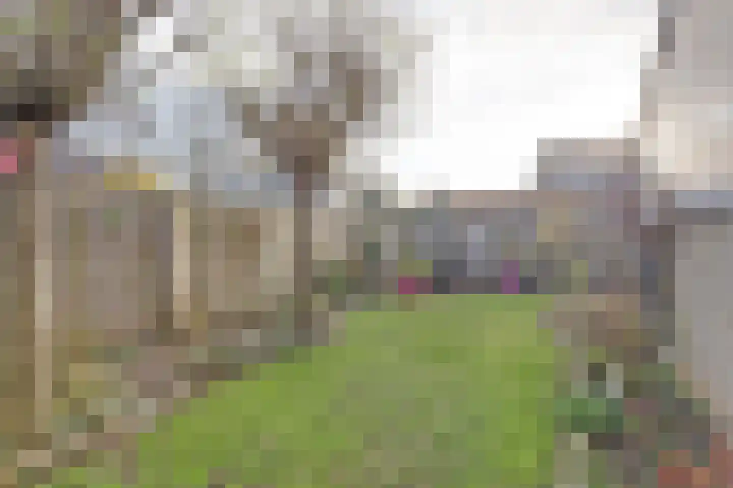 Frans Erensstraat 14 Melick thumbnail 32
