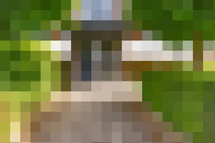 Frans Erensstraat 19 Beek thumbnail 25