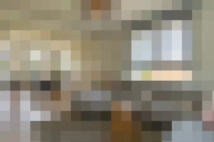 Frans Erensstraat 19 Beek thumbnail 6