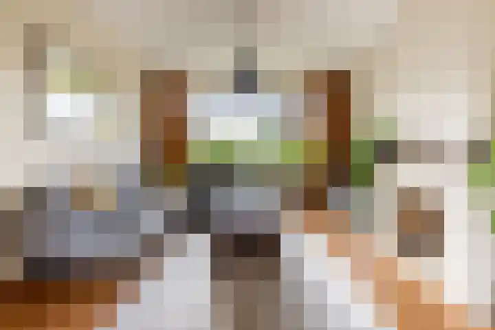 Frans Erensstraat 20 Haarlem thumbnail 8
