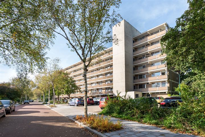 Frans Halslaan 205 in Oegstgeest foto