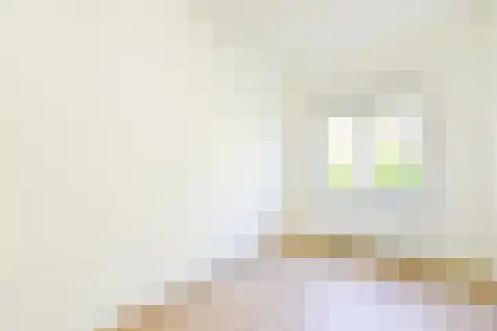 Frans Halslaan 57 Baarn thumbnail 6