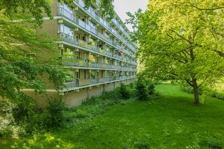 Frans Halslaan 59 in Oegstgeest foto