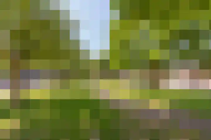 Frans Halsstraat 13 Sittard thumbnail 5