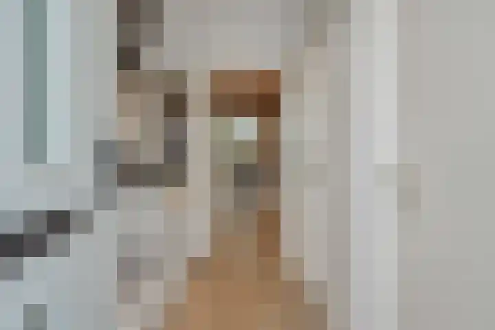 Frans Halsstraat 25 Heesch thumbnail 15