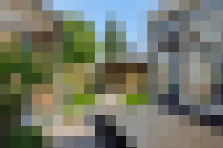 Frans Halsstraat 25 Heesch thumbnail 31