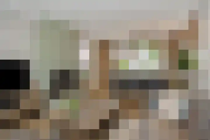 Frans Halsstraat 25 Heesch thumbnail 5