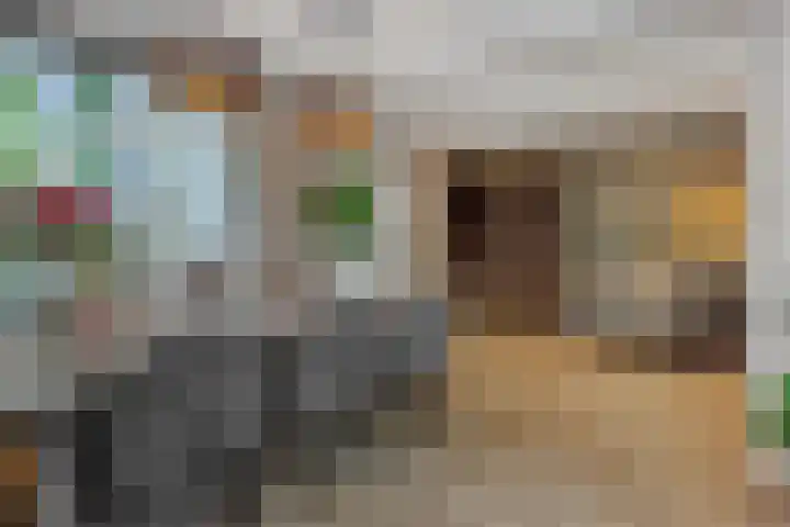 Frans Halsstraat 25 Heesch thumbnail 7