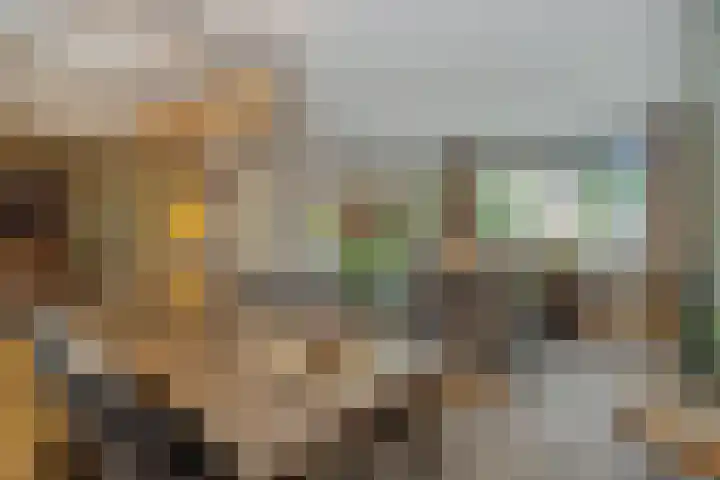 Frans Halsstraat 25 Heesch thumbnail 8